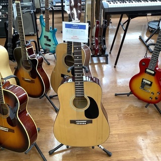 アコースティックギター HOSCO WG–0 