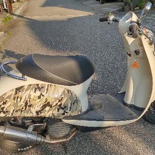 ホンダ原付 クレアスクーピー限定迷彩カラー