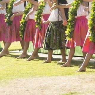 【オンライン講師募集】オンラインでフラダンスを教えませんか？