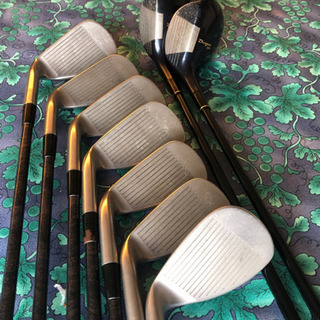 Momentumアイアン、マルマンウッドの画像