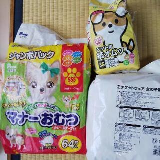 ペット用オムツSSS 各種100枚以上