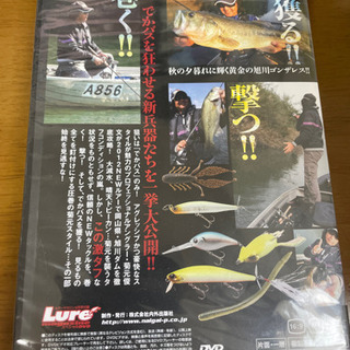 ブラックバス DVDの画像