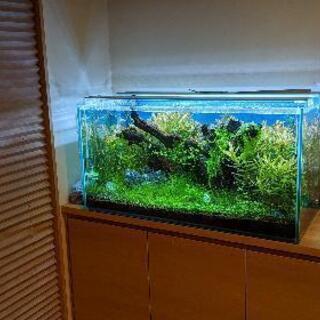 90x45x45 アクアリウム水槽と水槽用品一式