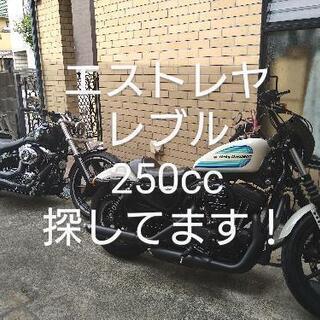 エストレヤ･レブル･極上なバイク･譲って下さい･現金支払