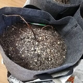 無料■不織布の植木鉢(8つまとめてセットで)★野菜栽培用の土と一緒にの画像