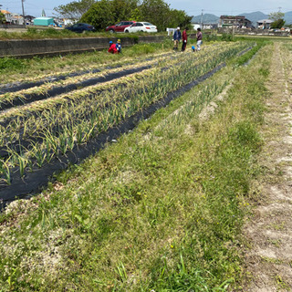 🥦🥦　食育　他に - 松山市