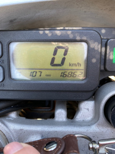 Dトラッカー【決まりました】