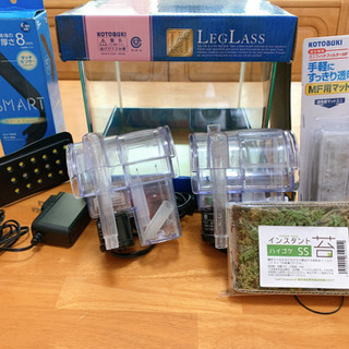 20センチ水槽と完成品アクアテラリウム