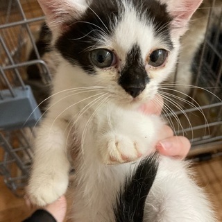 3ヶ月はいらないくらい？ちびちゃん達