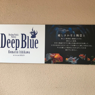 ショップOPENのため　メダカ、引き取ります。