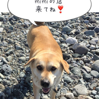 6/13 mimiの店　ガレージセール　