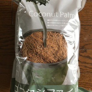 ココナッツパームファイバー　観葉植物　おしゃれマルチング