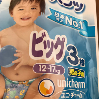 水遊びパンツ　ビッグサイズ３枚の画像