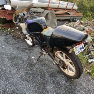 NS1の画像