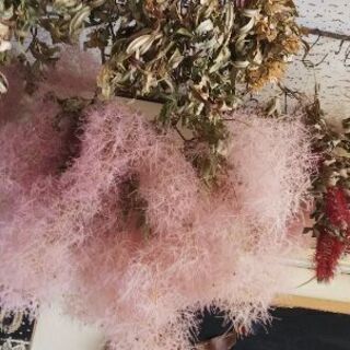 去年のドライフラワーまとめて