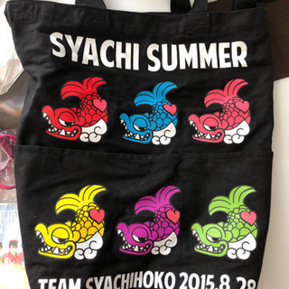 決まりました★0円★アイドルグッズ沢山★チームしゃちほこの画像