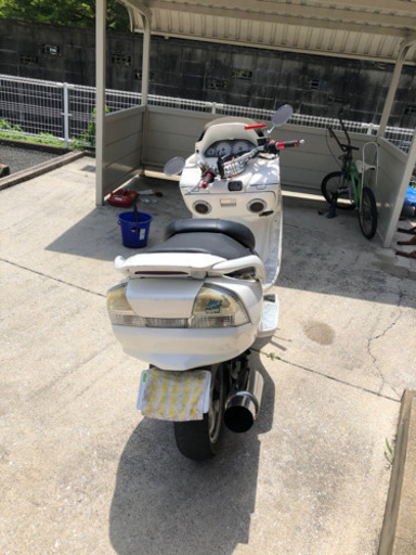 SUZUKI  スカイウェブ250 cj43a交渉中