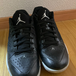 ジョーダン　25.5cm ローカット値下げしました