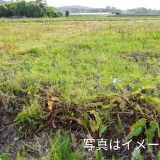 農地貸します【無料】の画像