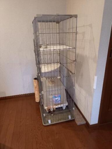 ペット ケージ 猫用