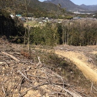 山林売ります600万円　約6000坪　資材置き場  キャンプ オフロードコース サバゲー　家畜放牧　農園などに - 土地販売/土地売買