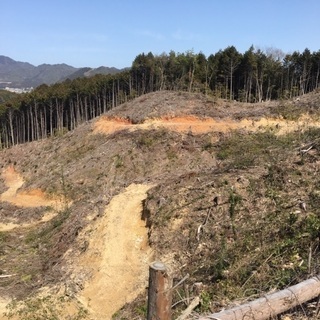 山林売ります600万円　約6000坪　資材置き場  キャンプ オフロードコース サバゲー　家畜放牧　農園などに - 多可郡