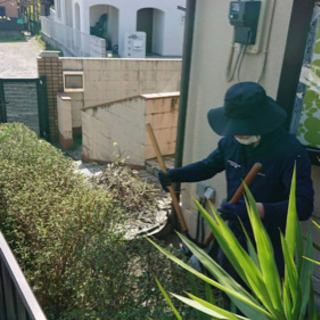 【植木屋募集】◎現場の枝や落ち葉回収◎即日勤務OK！◎当日現金払い！◎現場経験者優遇！の画像