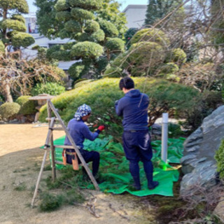 【植木屋募集】◎現場の枝や落ち葉回収◎即日勤務OK！◎当日現金払い！◎現場経験者優遇！の画像
