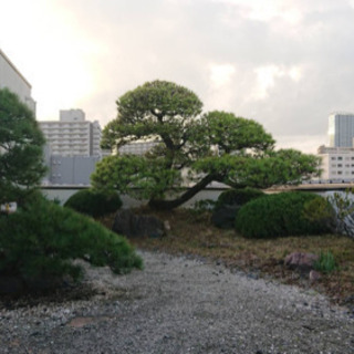 【植木屋募集】◎現場の枝や落ち葉回収◎即日勤務OK！◎当日現金払い！◎現場経験者優遇！の画像