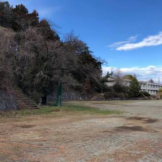 手伝って：岩壁を使ったボルダリングをつくりたい