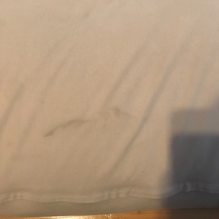ヨギボー　の画像