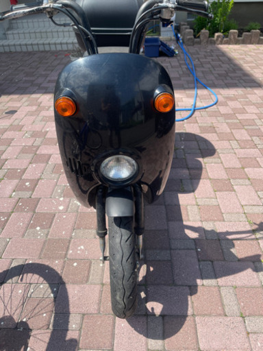 決まりました  スズキ ちょいのり