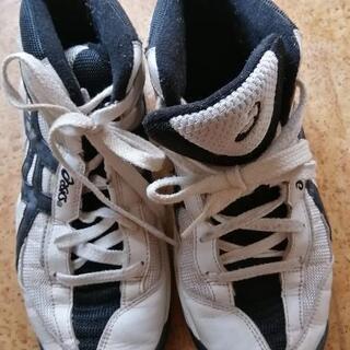 asicsスニーカー（女子用）