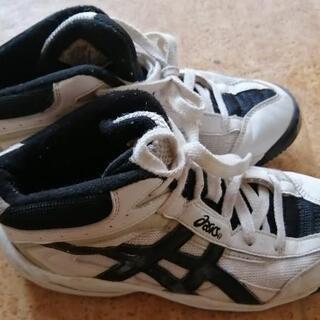 asicsスニーカー（女子用）の画像