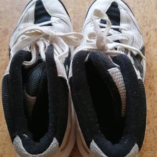 asicsスニーカー（女子用）の画像