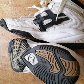 asicsスニーカー（女子用）の画像