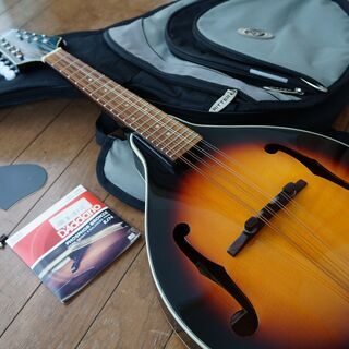 ARIA　マンドリン　AM200BS　中古　ギグバッグ付き