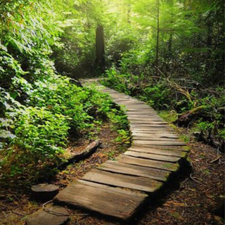 【40本以上で格安配送】アンティーク　ガーデニング　DIY 門扉　フェンス　花壇　植物　お庭の画像