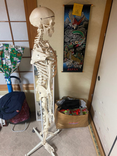 整体、骨模型