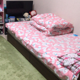 ベット