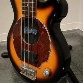 Pignose bass ピグノーズベース