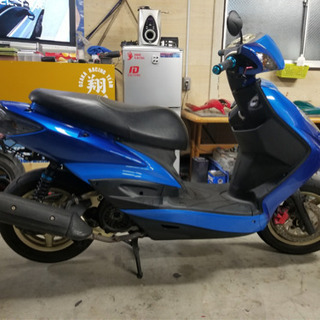 シグナス　2型　絶好調