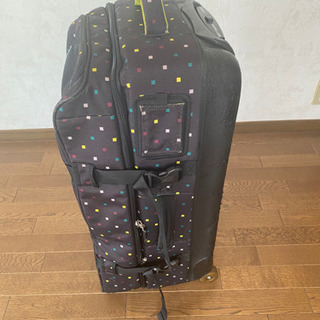 バートンバックの画像