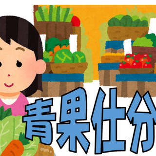 農作物の包装、袋詰めおよび商品陳列作業