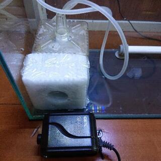 【取引中】水槽セット GEXグラステリア360H LEDライト ヒーター 投げ込み式フィルター アクアリウムの画像