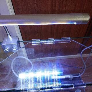【取引中】水槽セット GEXグラステリア360H LEDライト ヒーター 投げ込み式フィルター アクアリウムの画像
