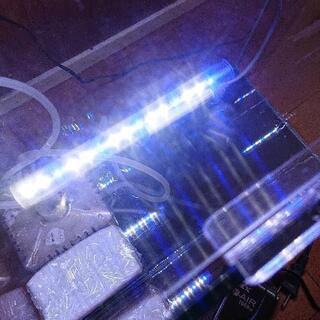 【取引中】水槽セット GEXグラステリア360H LEDライト ヒーター 投げ込み式フィルター アクアリウムの画像