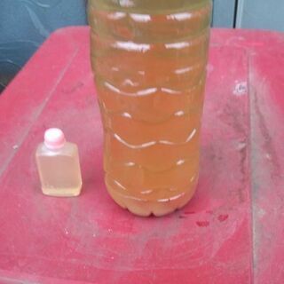 高濃度メネデール＋天然成分虫除け(自作品)各33ml
