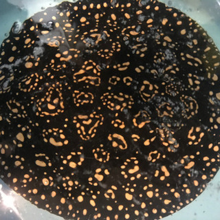 淡水エイ、超極上ダイヤモンドハイブリッドエイ、ハイブリッド淡水