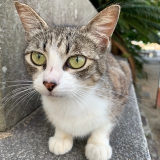 動物保護を一緒にはじめませんか？😁✨